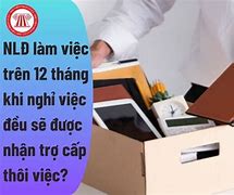 Khi Nào Phải Trả Trợ Cấp Thôi Việc