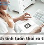 Thai 36 Tuần 4 Ngày Là Mấy Tháng