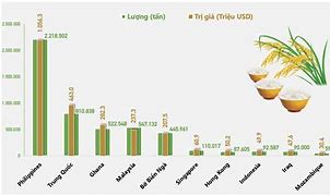 Xuất Khẩu Gạo Việt Nam Đứng Thứ Máy 2022 Nhất